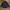 Dickies Gorpcore Sportswear Track jacket Pria navy photo 2