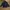 Dickies Gorpcore Sportswear Track jacket Pria navy photo 1