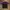 Umbro Sportswear Casual Jersey Pria purple black photo 1