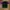 Umbro Sportswear Casual Jersey Pria purple black photo 2