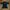 Umbro Sportswear Casual Jersey Pria black photo 1