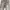Lee Streetwear Casual Jeans Pria gray photo 4