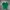 Baracuta Luxury Minimalist Polo shirt Pria white green photo 1