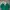 Baracuta Luxury Minimalist Polo shirt Pria white green photo 2