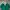 Baracuta Luxury Minimalist Polo Shirt Pria White Green