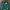 Stussy Streetwear Y2K Leather Jacket Pria Green Yellow