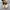 Puma Streetwear Sneakers Wanita tan photo 4