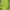 Streetwear Casual Blazer Wanita green photo 3