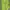 Streetwear Casual Blazer Wanita green photo 2