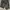 Streetwear Jeans Pria gray photo 3