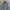 RAGEBLUE Vintage Pea coat Pria gray photo 1