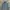 RAGEBLUE Vintage Pea Coat Pria Gray