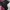 Avant Garde T-shirt Wanita pink photo 5