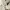 Minimalist Sweater Pria cream photo 2
