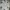 ZARA Casual Polo Shirt Pria White