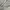 ZARA Casual Polo shirt Pria white photo 3