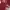 Y2K Emo Polo shirt Pria burgundy photo 2