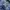 Y2K Casual Jeans Pria blue photo 4