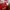 Adidas Vintage Jersey Pria red photo 1