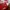 Adidas Vintage Jersey Pria Red