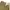 Polo Ralph Lauren Vintage Casual Casual pants Pria khaki photo 3