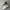 Clarks Casual Sneakers Wanita white photo 1
