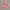 Stussy Streetwear Casual Hoody Pria green pink photo 4