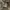Hollister Casual Harrington jacket Wanita gray photo 2