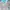 Sportswear Track jacket Pria gray blue photo 5