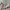 Helmut Lang Vintage Y2K Pleated skirt Wanita cream photo 6