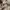 Helmut Lang Vintage Y2K Pleated skirt Wanita cream photo 8