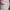 Casual Baju bayi Kids white pink photo 2