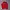 Bershka Streetwear Casual Sweatshirt Pria Red