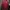 Japanese brand Streetwear Biker Casual shirt Pria red photo 2