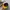 Streetwear Sportswear Hat Pria yellow photo 4