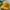 Streetwear Sportswear Hat Pria yellow photo 2