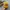 Streetwear Sportswear Hat Pria yellow photo 1