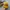 Streetwear Sportswear Hat Pria Yellow