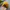 Streetwear Sportswear Hat Pria yellow photo 3