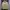 Y2K Sportswear Fleece Pria tan photo 2