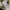 Y2K Sportswear Fleece Pria tan photo 6