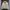 Biker Casual Harrington jacket Pria tan photo 1