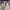 Biker Casual Harrington jacket Pria tan photo 4