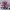Sportswear Boots Pria pink black photo 2
