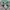 Sportswear Boots Pria green photo 2