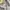 Carhartt Streetwear Formal shirt Pria cream photo 3