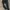 H&M Casual Casual pants Pria navy photo 2
