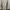 Minimalist Bodycon dress Wanita cream photo 1