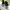 Skater Emo Sneakers Pria white black photo 2