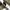Skater Emo Sneakers Pria white black photo 5